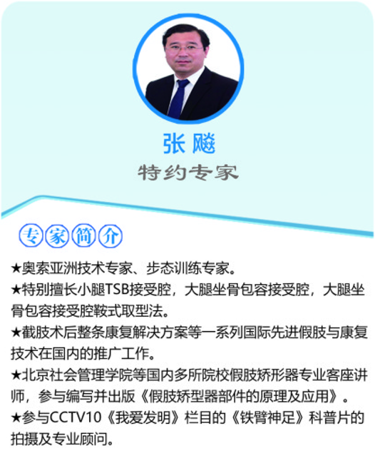 專家團(tuán)隊|張飚